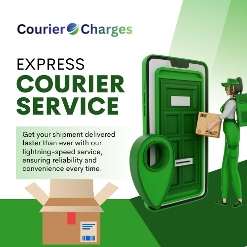 How Much Doest It Cost To Send Courier To New Zealand From Delhi