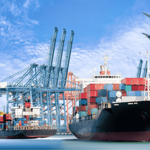 Sea Cargo Charges For New Zealand From Delhi